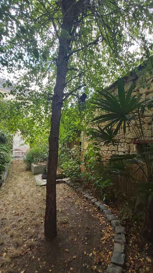 La Maison De Louise Chinon #Chateaux #Vignobles Exterior foto